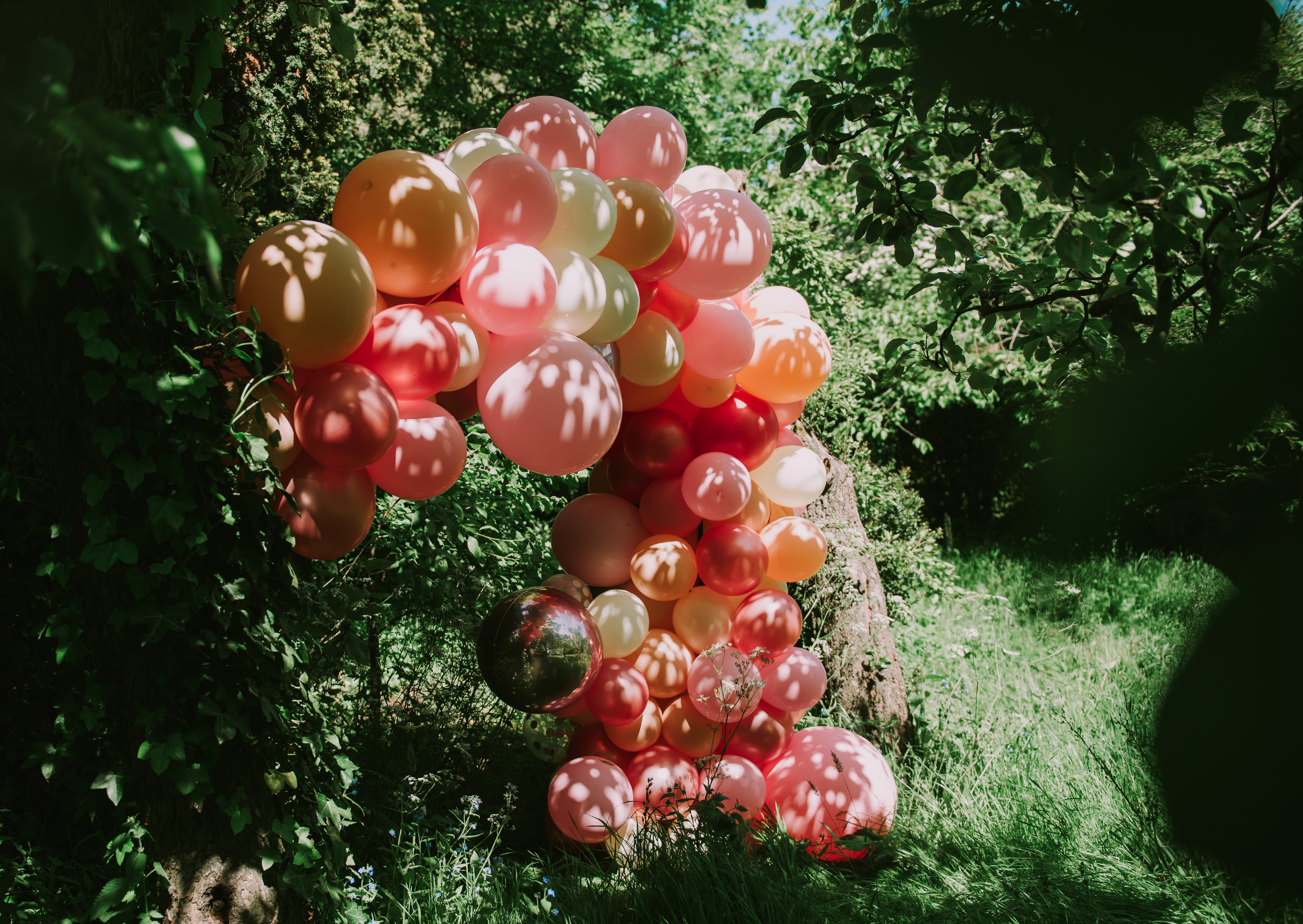 Bubblegum Balloons with Bear and Pine