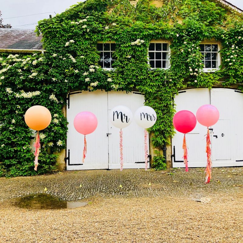 Bubblegum Balloons at Northbrook Park 2 (1)
