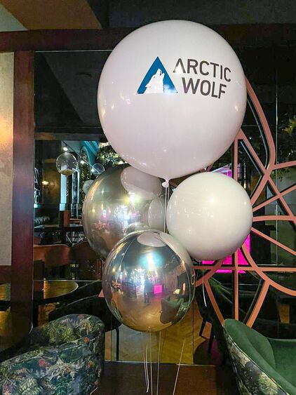 10984 Newcastle Set-up For Arctic Wolf - 422 x 563 (2)